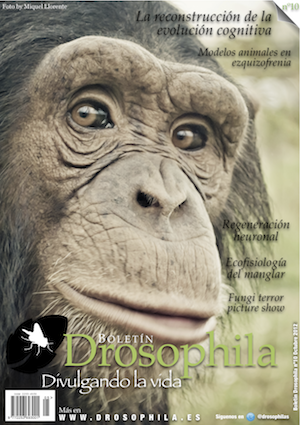 Revista n&uacute;mero 10 Drosophila