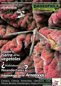 Revista n&uacute;mero 4 Drosophila