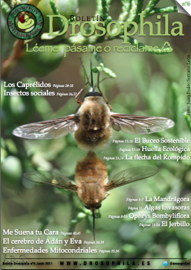 Revista número 6 Drosophila
