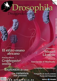 Revista n&uacute;mero 8 Drosophila