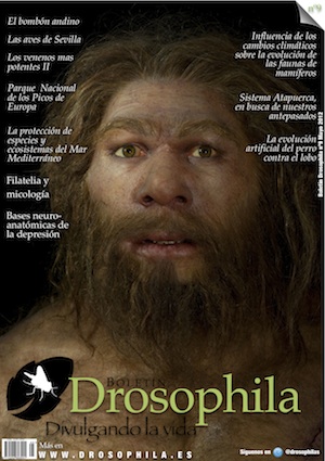 Revista n&uacute;mero 9 Drosophila