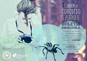 Concurso ft
