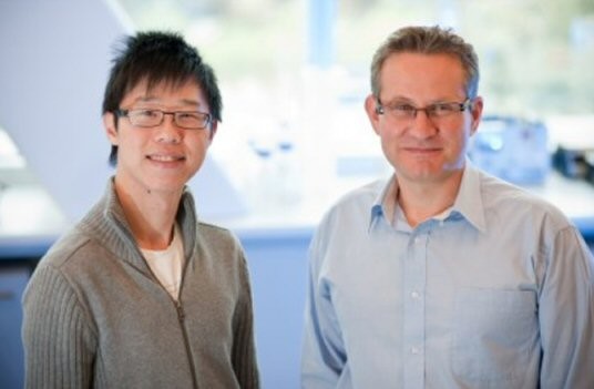 Tony Tiganis y Kim Loh. (Foto: IoP) Tony Tiganis y Kim Loh. (Foto: IoP)