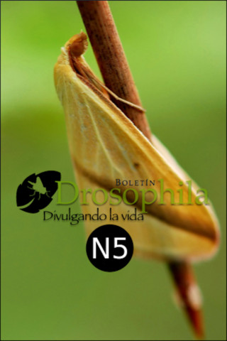 Preview app N5 Boletín Drosophila Preview app N5 Boletín Drosophila