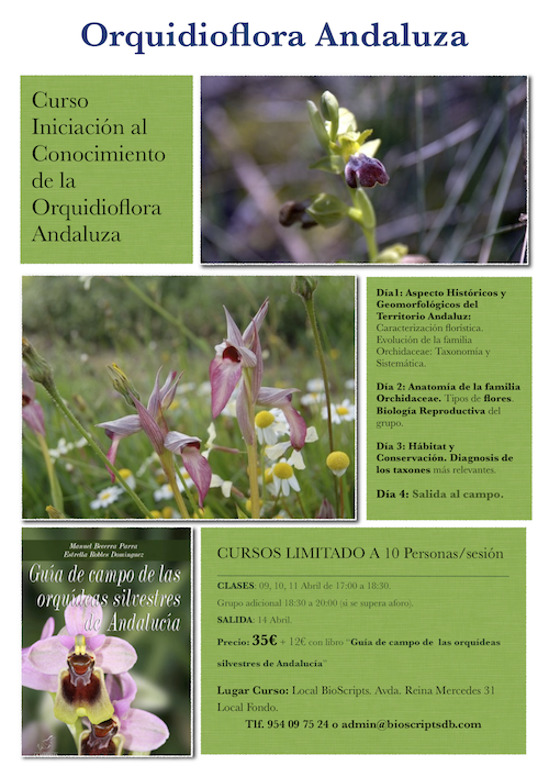 Curso Iniciación al Conocimiento de la Orquidioflora Andaluza Curso Iniciación al Conocimiento de la Orquidioflora Andaluza