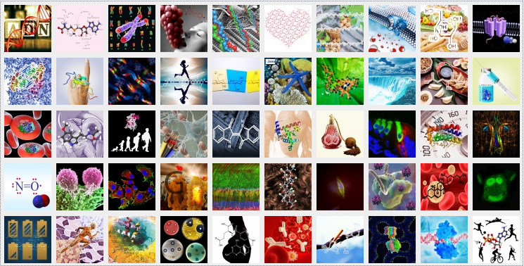 http://www.drosophila.es/wp-content/uploads/2013/02/imagen-50-moleculas.jpg