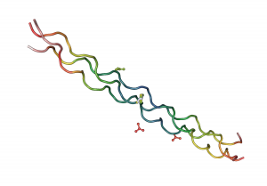 Una representación de la  estructura de un colágeno.