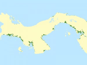 Localización y extensión de los manglares de la República de Panamá en el año 2008