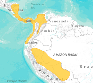 Mapa de distribución de la especie según UICN