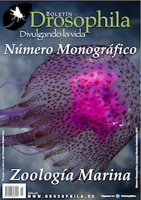 monografico1