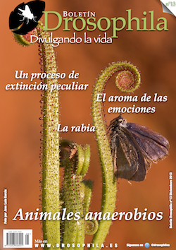 numero13_mini