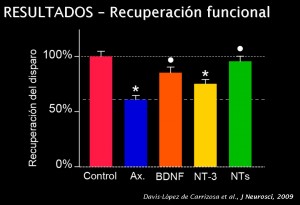 Figura 3