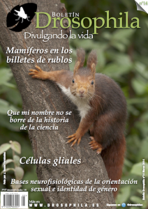 Boletín Drosophila Número 14