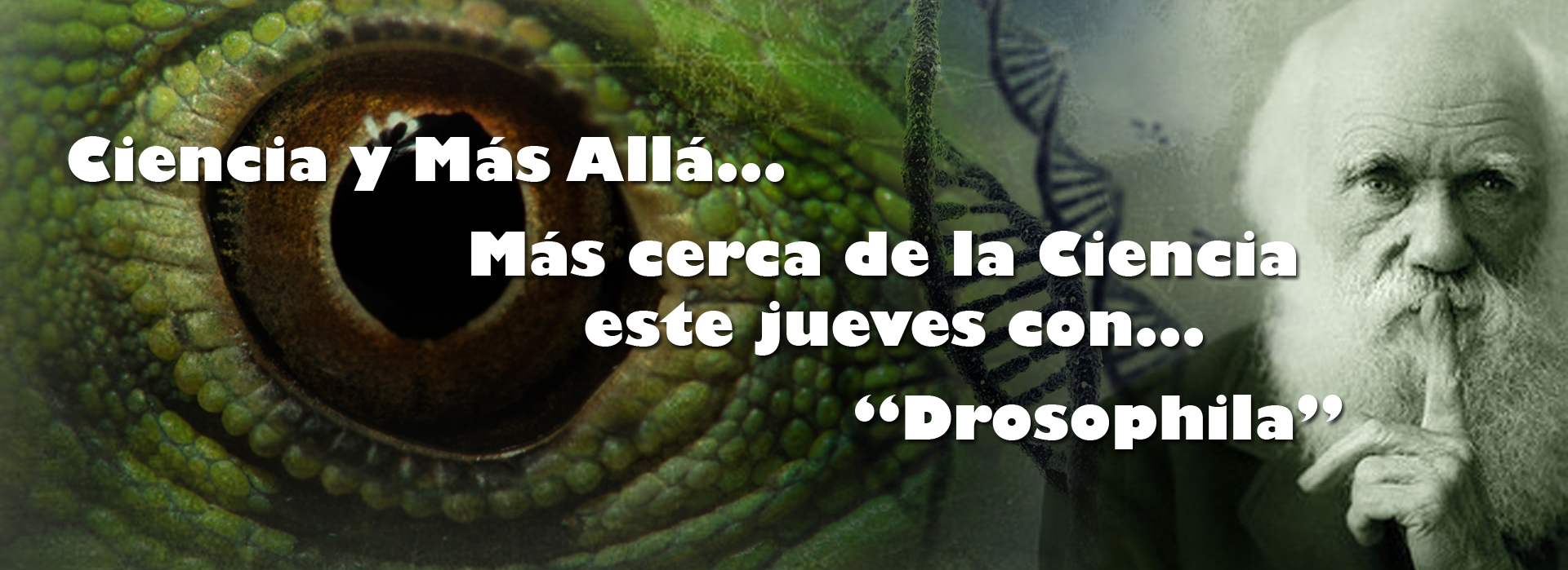 Plantilla_facebook