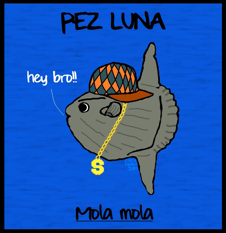 LUNA