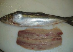 Imagen de un salmónido afectado por Ichthyophonus. Fíjese en las manchas rojizas que aparecen en el animal.