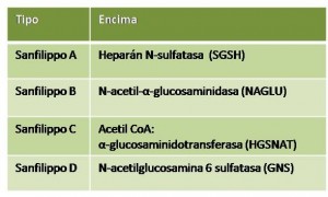 Esquema que recoge los diferentes subtipos de Sanfilippo descritos hasta la fecha y qué enzima se implicada se encuentra defectuosa en cada uno de ellos.