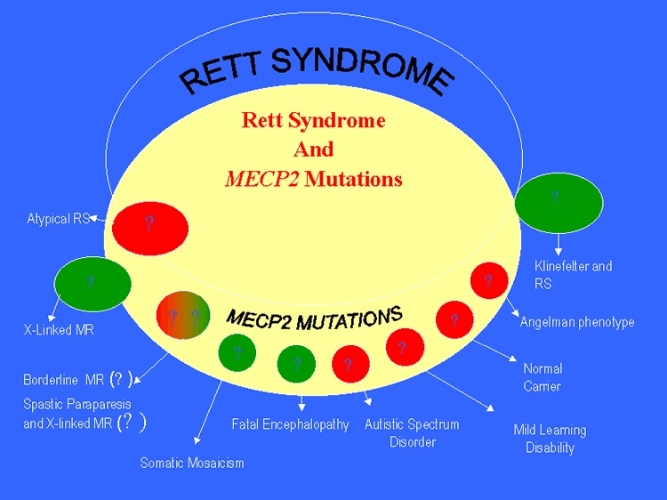 Gráfico con mutaciones MECP2 y sus posibles implicaciones en otras enfermedades