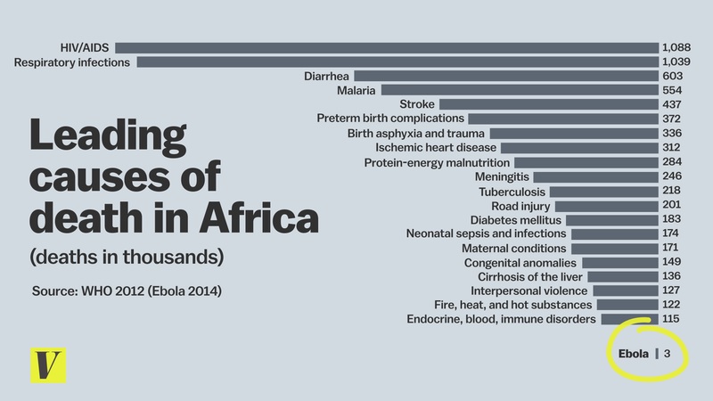 Muertes en África por el brote de ébola frente a otras enfermedades. Muertes en África por el brote de ébola frente a otras enfermedades.