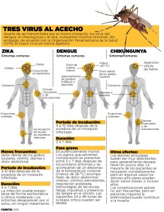 Tabla comparativa de síntomas con que cursan los virus Zika, el dengue y el chigunkunya. Como puede observarse, son enfermedades donde la sintomatología es muy similar, pudiendo dar lugar a errores en el diagnóstico clínico.