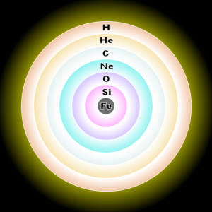 En sus últimas horas, la estrella es una especie de cebolla formada por capas de todos los elementos que ha ido produciendo en sucesivas estapas de fusión, de los más ligeros (superficie) a los más pesados (núcleo).