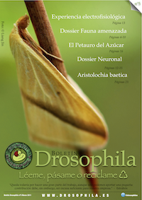 Revista número 5 Drosophila