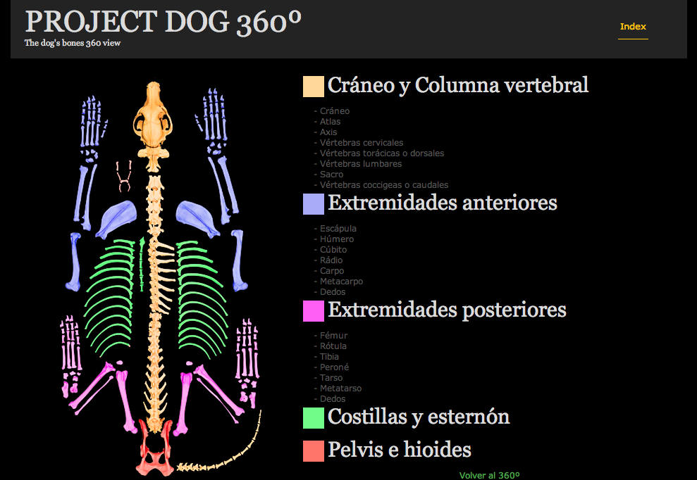 Project Dog 360º