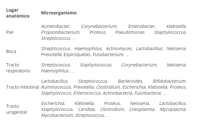 Bacterias que forman parte de la microbiota humana