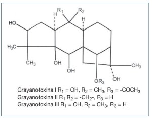 Estructura química de las Grayanotoxinas.