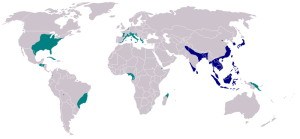 Distribución mundial del mosquito Aedes albopictus, el otro vector de transmisión utilizado por el virus Zika. Como puede observarse en el gráfico, el popularmente conocido mosquito tigre se extiende a lo largo de todo el levante español.