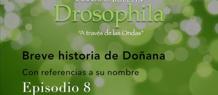 Podcast BD 08 - Breve historia de Doñana, con referencias a su nombre